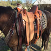 Working Hand Wade by Keith Valley - Flat Plate 7/8ths riggin - Gullet - 7 & 1/2 H by 6 & 1/4 W by 4 - Horn 5 & 1/2 by 5 & 3/4 - 90 degree bars - 7/8ths flat plate - 15 & 1/2 inch seat - Cantle 12 & 1/2 inch wide by 4 inch high with 1 & 1/2 inch Cheyenne Roll